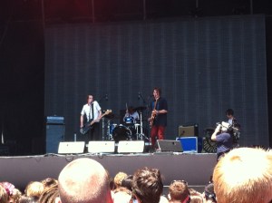 palma violets